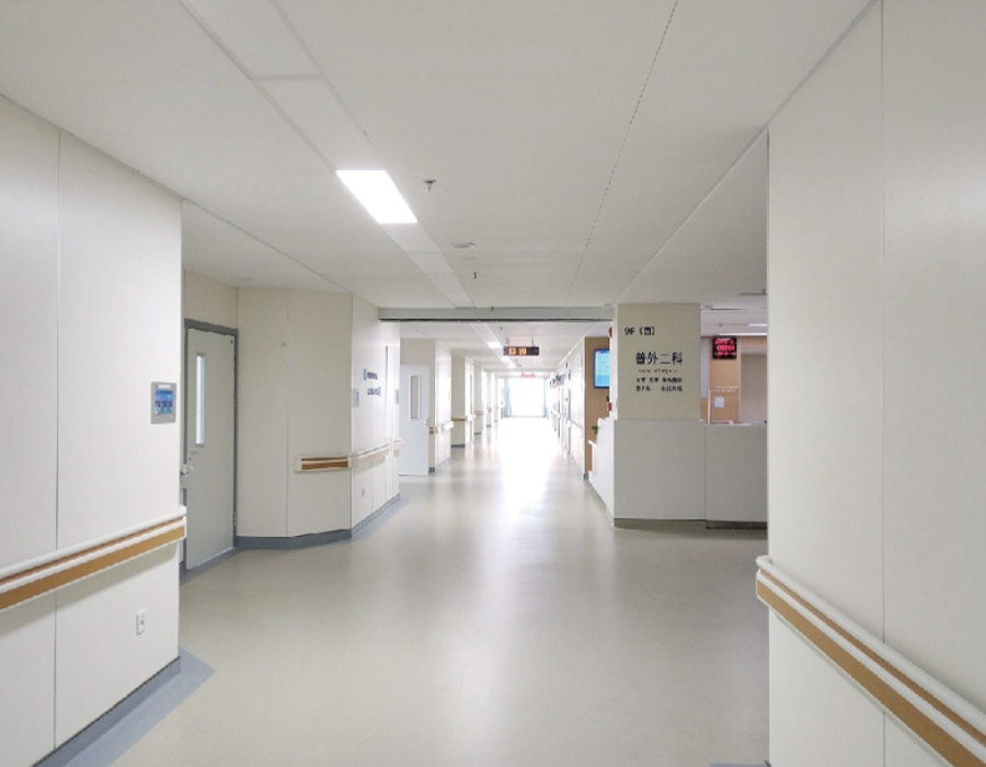 Koristeellinen kalsiumsilikaattiseinäpaneeli